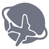 simulation